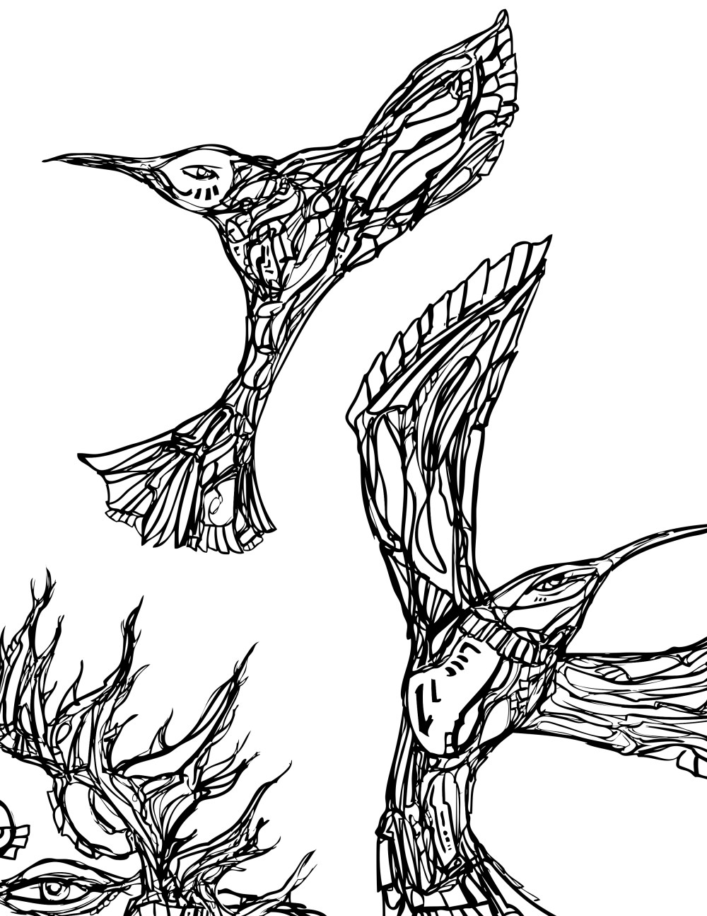 NEW CREATE SPACE WATERHUMMINGBIRD HOUSE COLORING BOOK